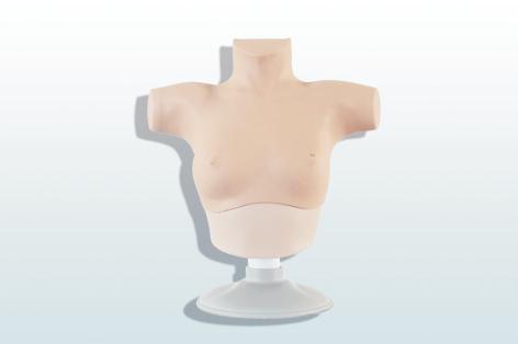 乳腺癌觸診、視診訓(xùn)練模型